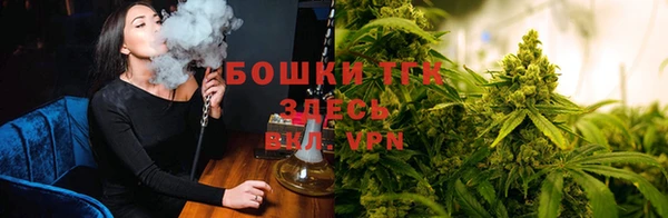 гидропоника Нягань