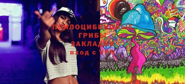 герыч Няндома
