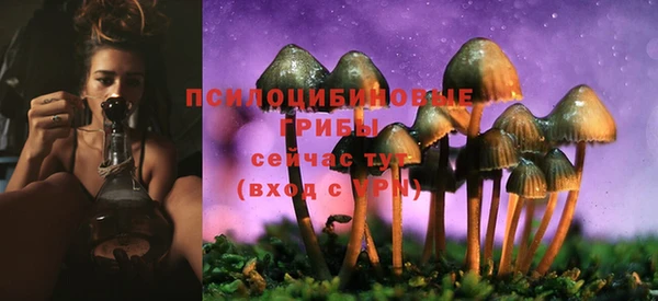 гидропоника Нягань