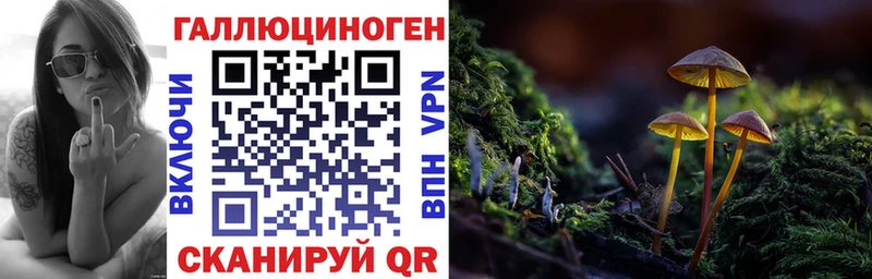 Псилоцибиновые грибы Cubensis  Богучар 